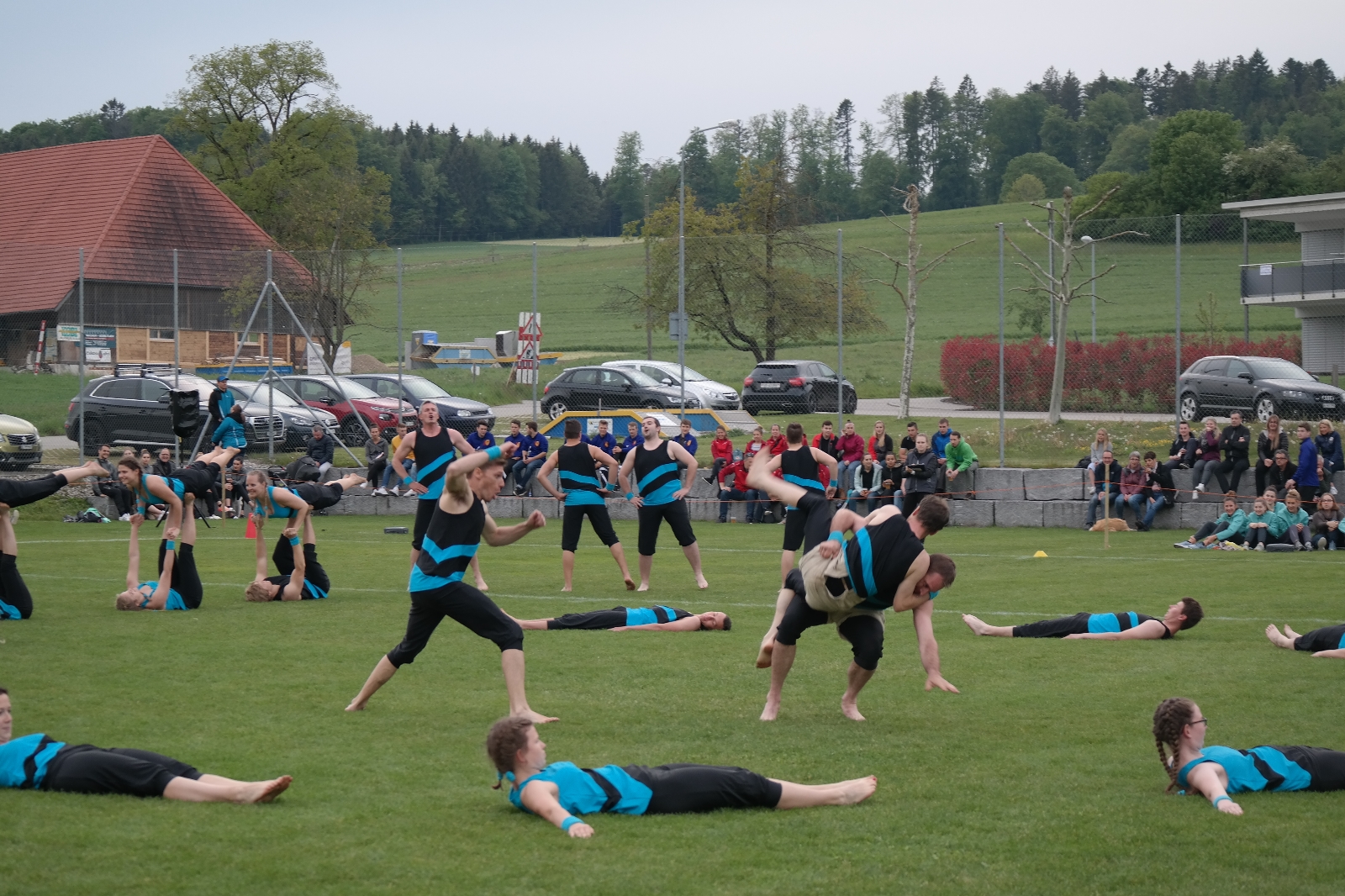 Bild 1 (270)
